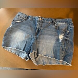 Like new Maurice’s size 18 Frayed Denim Shorts